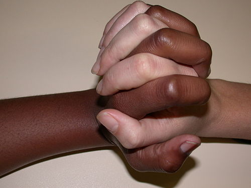 Diversity and Unity